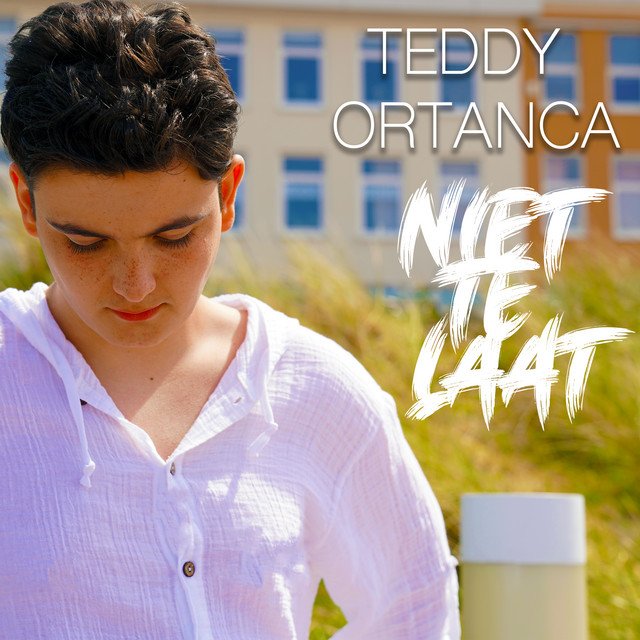 Cover van Niet te laat