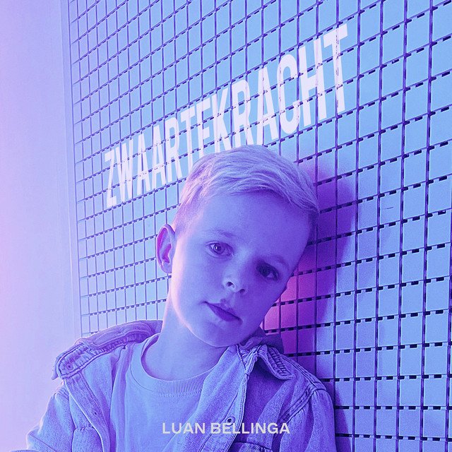 Cover van Zwaartekracht